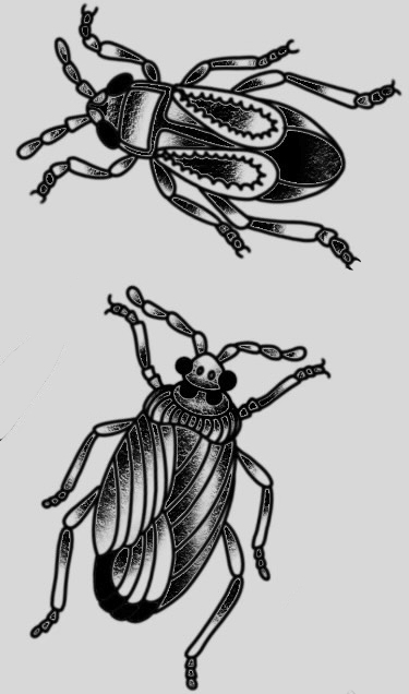 scarabs_01